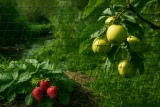 Kies het juiste tuinnet voor jouw tuin